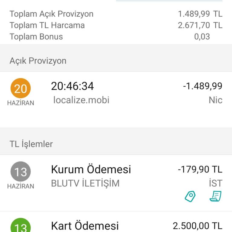 Localize.mobi İzinsiz Para Çekimi