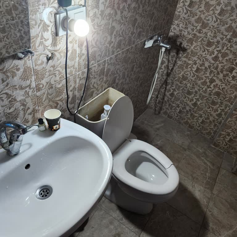 Sahibinden Çanakkale Group: Kiralık Dairede Hayal Kırıklığı Ve Hijyen Sorunları