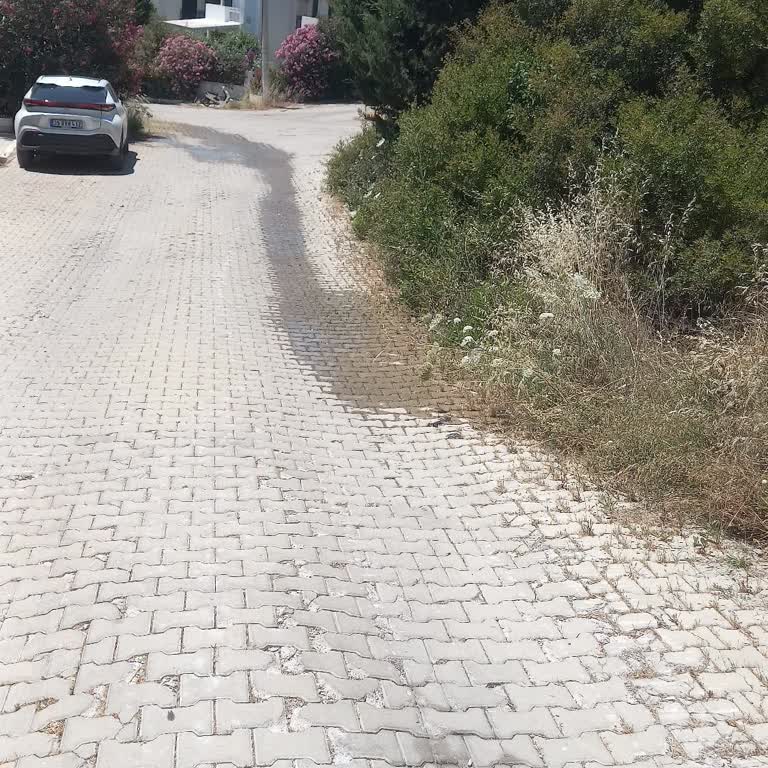 Macro Center Ardıç Çeşme Foseptik Taşma Sorunu Devam Ediyor