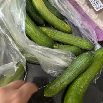 Şok Marketler Teslimat Kalitesi Ve Müşteri Hizmetleri Sorunu