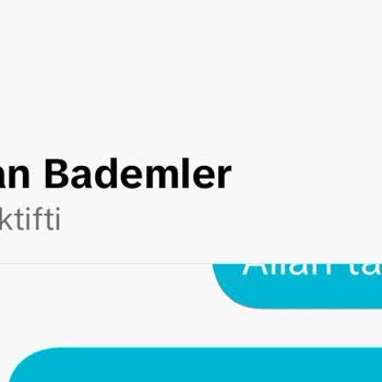 Yanlış Kullanıcı Adına Sahip TikTok Hesabının Kapatılması Talebi