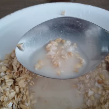 A101 Burch Yulaf Ezmesi