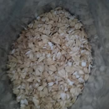 A101 Burch Yulaf Ezmesi