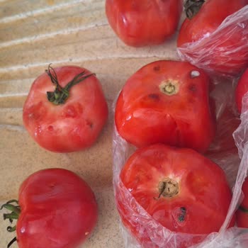 Carrefour SA Küflenmiş Sebze Satıyor