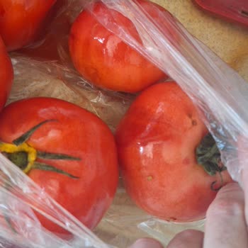 Carrefour SA Küflenmiş Sebze Satıyor