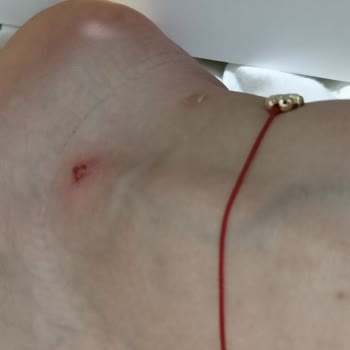 Sneaks Up Ürün İnceleme Şikayet