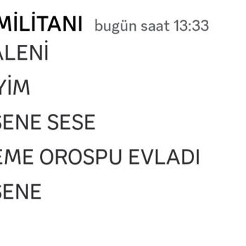 Discord.com Küfürler Ve Hakaret