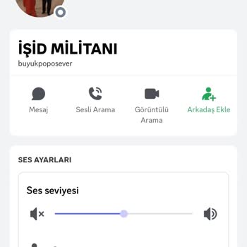 Discord.com Küfürler Ve Hakaret