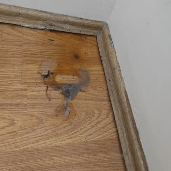 Uğur Soğutma Derin Dondurucu Hatalarından Dolayı Yardımcı Olmuyor