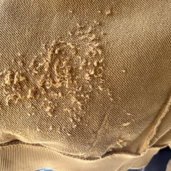 U.S. Polo Assn. Ödül Mü Ceza Mı Olur?