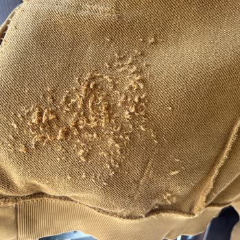 U.S. Polo Assn. Ödül Mü Ceza Mı Olur?