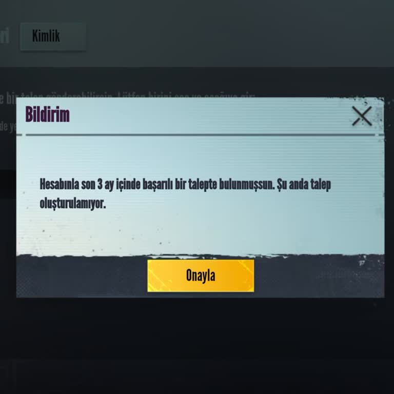 PUBG Mobile Form Açılmama Sorunu