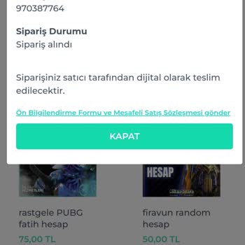 Shopier'den Aldığım Ürünün Satıcısı Beni Engelledi, Param Boşa Gitti