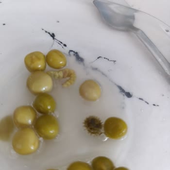 A101 Ürünüm Kusurlu Geldi