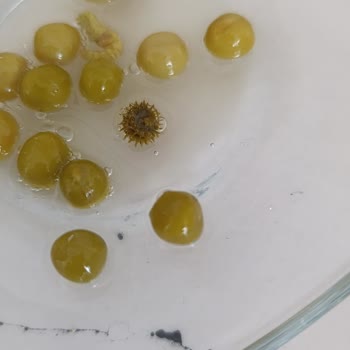 A101 Ürünüm Kusurlu Geldi