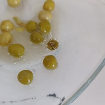 A101 Ürünüm Kusurlu Geldi