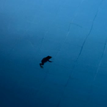 Hedef Resort Spa Hotel Beklediğimden De Kötü Bir Otel