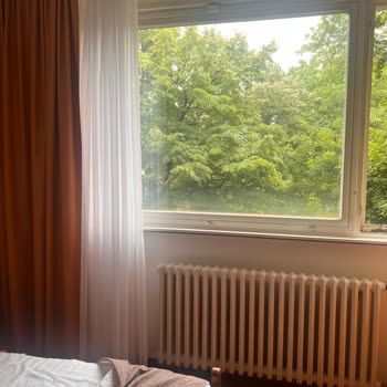 Air Serbia Belgrad Aktarmalı Uçuşta Yaşanan Sorunlar Ve Mağduriyet