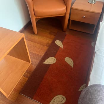 Air Serbia Belgrad Aktarmalı Uçuşta Yaşanan Sorunlar Ve Mağduriyet