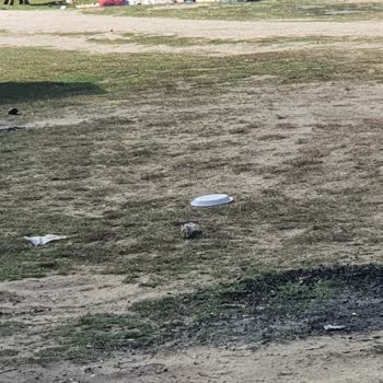 Şile Belediyesi Esenceli Koyu Kamp Alanı