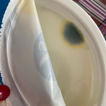 Sek Süt Güvendiğim Markadan Beklenmedik Küf Şoku!