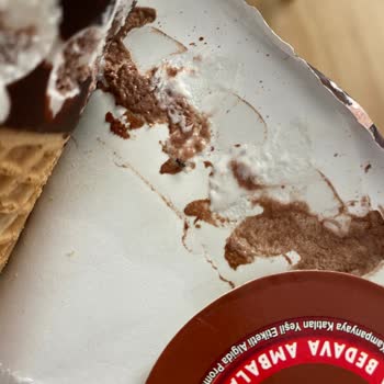 Algida Keyif Dondurmadan Sinek Çıktı.