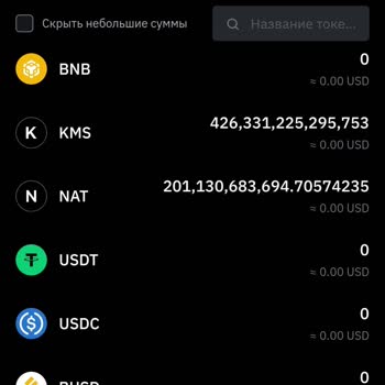 PancakeSwap Проблема С Выводом NAT