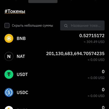 PancakeSwap Проблема С Выводом NAT