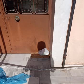 Trendyol, Trendyol Yemek, Trendyol Kurye, Müşteri Hizmetleri