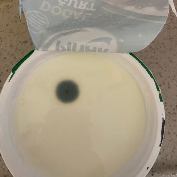 Pınar Et ve Süt Konya'da Satın Alınan Küflenmiş Yoğurt Sorunu