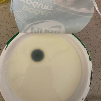 Pınar Et ve Süt Konya'da Satın Alınan Küflenmiş Yoğurt Sorunu