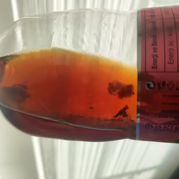 Didi Soğuk Çay 2.5LT Partikül /mayalanma Sorunu