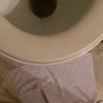 Adrasan Beach Club Adrasan Beach Clup Tan Şikayetçiyiz