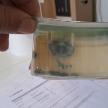 Migros Sanal Market Mağdur Etti