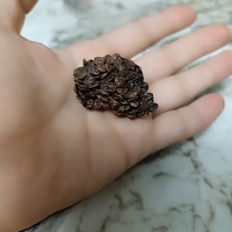 A101 Burch Çikolatalı Mısır Gevreğinden Madde Çıktı