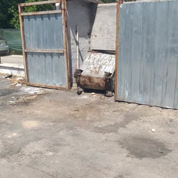 Erdek Belediyesi Çöplerin Doğru Atılmaması Yerlere Saçılması Pis Suların Akması!
