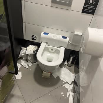 Opet WC'ler Mikrop Dolu