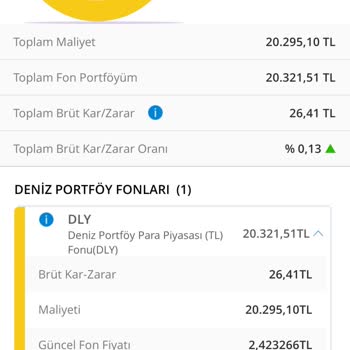 Denizbank Dly Fonu İle İlgili Sorunlar