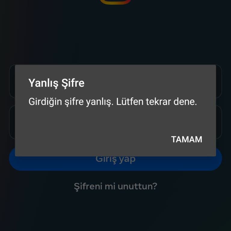 Instagram Hesabıma Giriş Yapamıyorum!