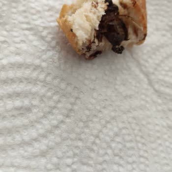 Safranbolu Belediyesi Safranbolu Misak-ı Milli Demokrasi Meydanı Halk Ekmek Büfesi