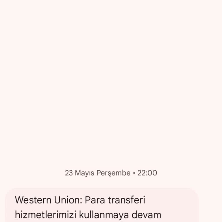Western Union Para Transferlerime Bloke Koymuş Ne Dayanarak Bloke Koyuyorsunuz