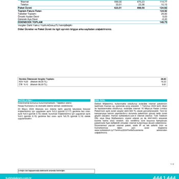 TTNET Altyapı Sorunu