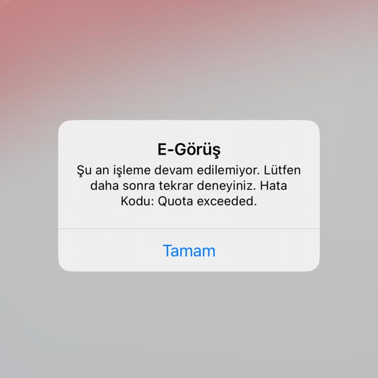 Adalet Bakanlığı E Görüş Hatası