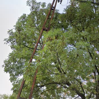 Boğaziçi Elektrik - BEDAŞ Paslı Yamuk Düşme Tehlikesi Olan Eski Tip Sokak Aydınlatma Direği