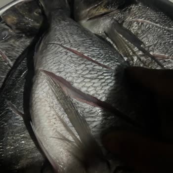 Carrefour SA Kokan Balık Müşteri Memnuniyetsizliği Personel İlgisizliği