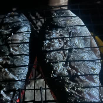 Carrefour SA Kokan Balık Müşteri Memnuniyetsizliği Personel İlgisizliği