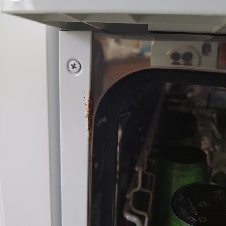 Samsung Bulaşık Makinesi Paslandı