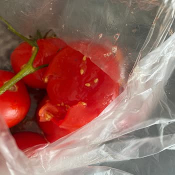 Cepte Şok Çöp Ürünler