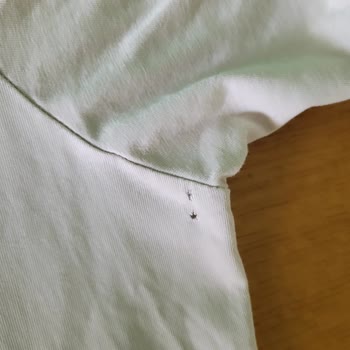 Mavi Marka Tişörtlerde Delinme Sorunu