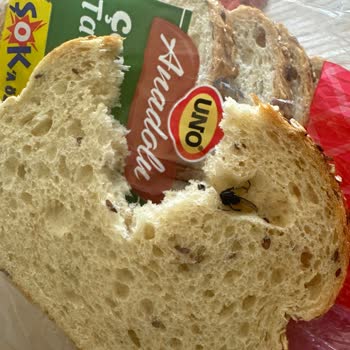 UNO Ekmeğinden Sinek Çıktı